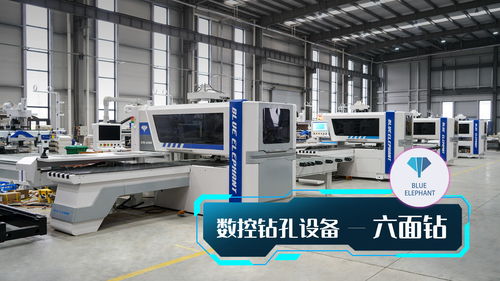 數(shù)控鉆孔設備六面鉆 板式家具定制行業(yè)不可或缺的生產(chǎn)設備